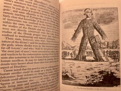 The Famous Druids: A Survey of Three Centuries of English Literature on the Druids by A.L. Owen - Image 4
