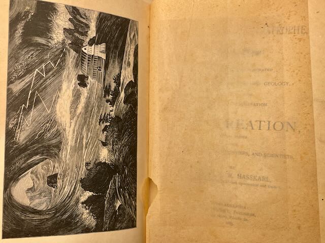 The Terrible Catastrophe, or Biblical Deluge: Illustrated and Corroborated by Mythology, Tradition, and Geology to which is added A Brief Interpretation of The Creation with Notes from Theologians, Philosophers, and Scientists by Rev. G. C. H. Hasscarl - Image 4