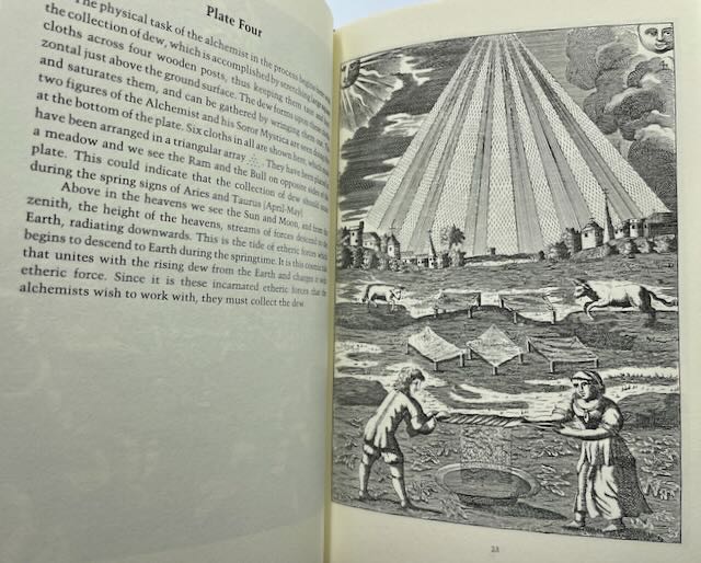 A Commentary on the Mutus Liber by Adam McLean - Image 3