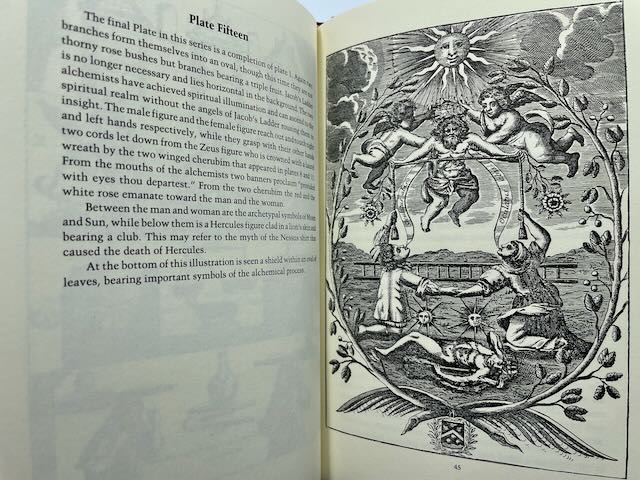 A Commentary on the Mutus Liber by Adam McLean - Image 4