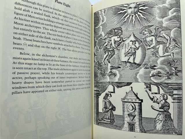 A Commentary on the Mutus Liber by Adam McLean - Image 5
