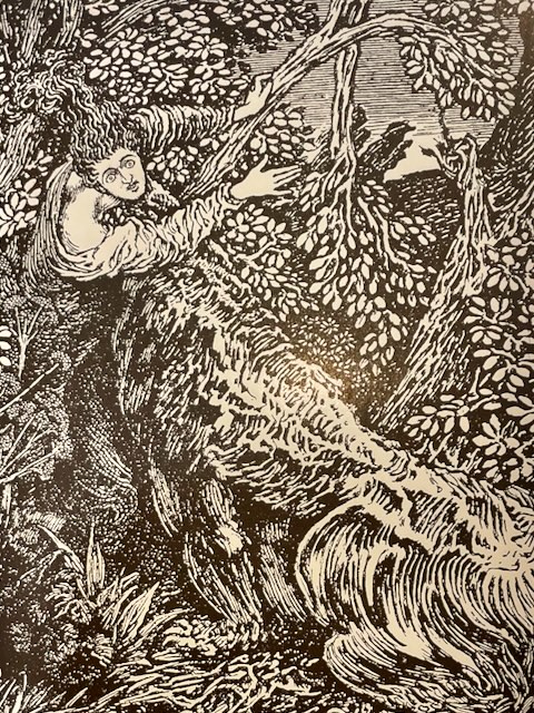 The Vampire: His Kith and Kin by Montague Summers - Image 4