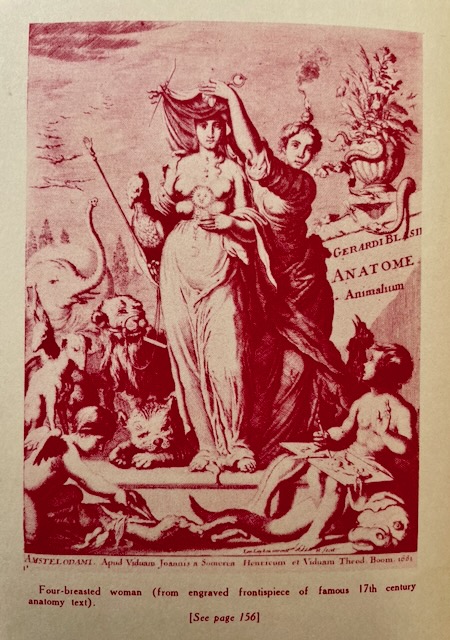 The Erotikon by Augustin Cabanès - Image 5